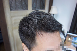 DSC00685.jpg