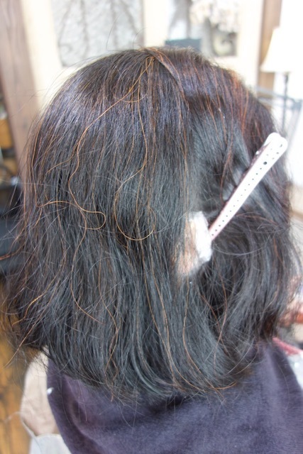 DSC00807.jpg